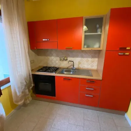 Gabbiano Isola Rossa (Sassari)